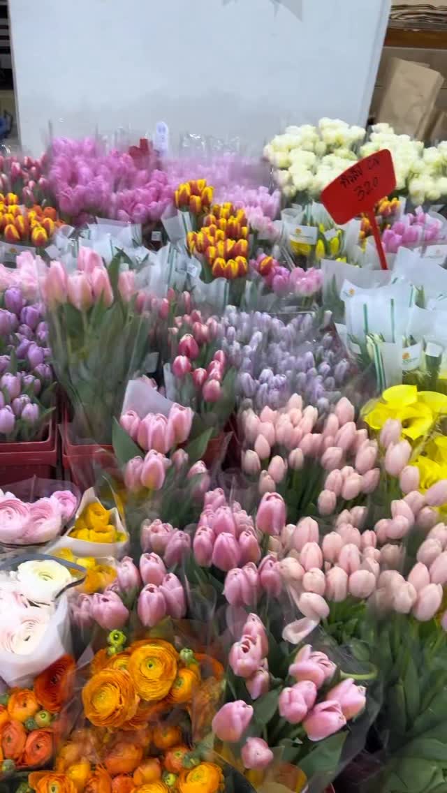 ดอกทิวลิปยอดฮิตทุกฤดูกาล 🤏🏻 #555flowers #ปากคลองตลาด #ร้านดอกไม้ ...