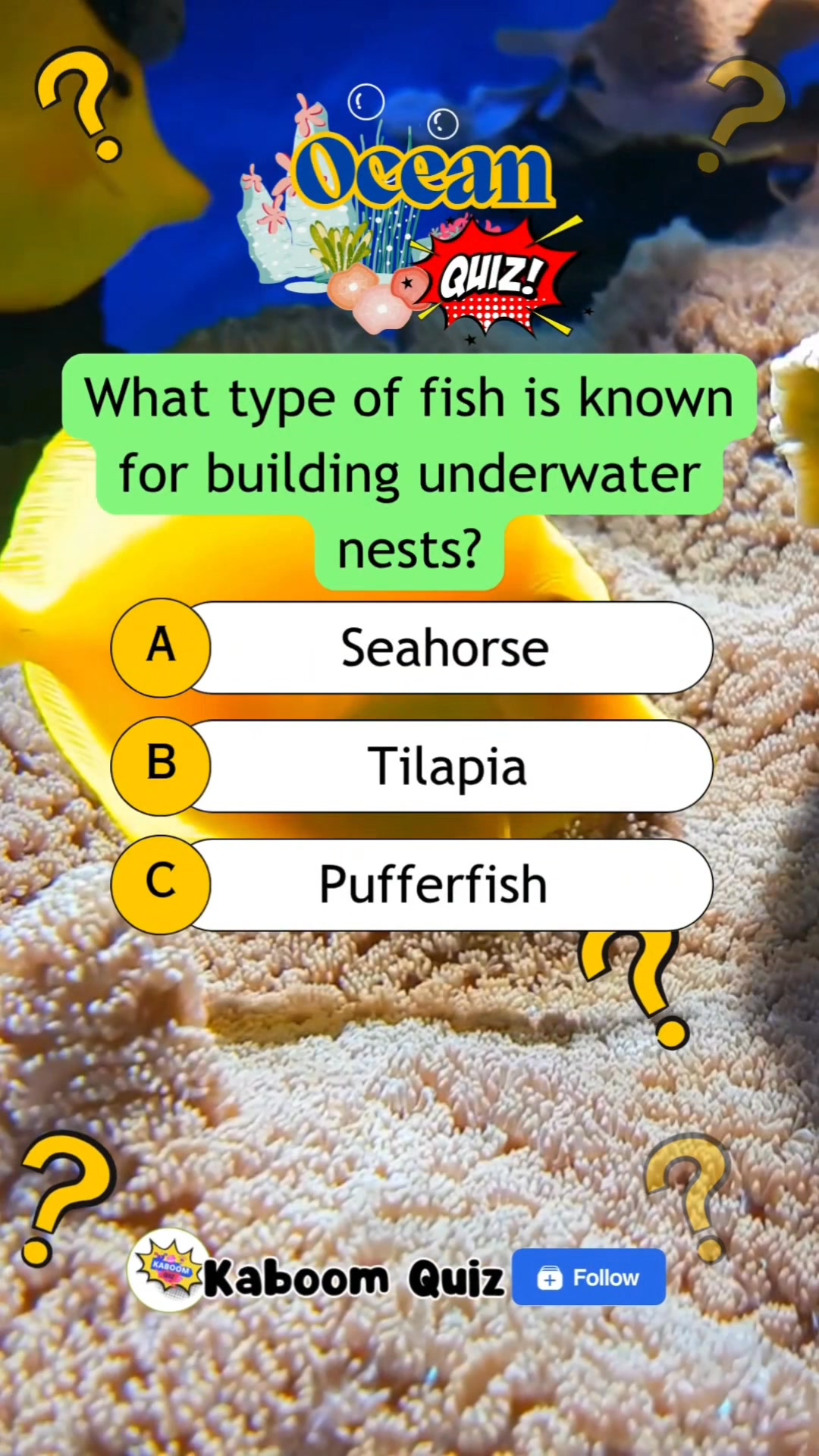 What type of fish is that? #quiz #quiztime #quizreels #popquiz # ...