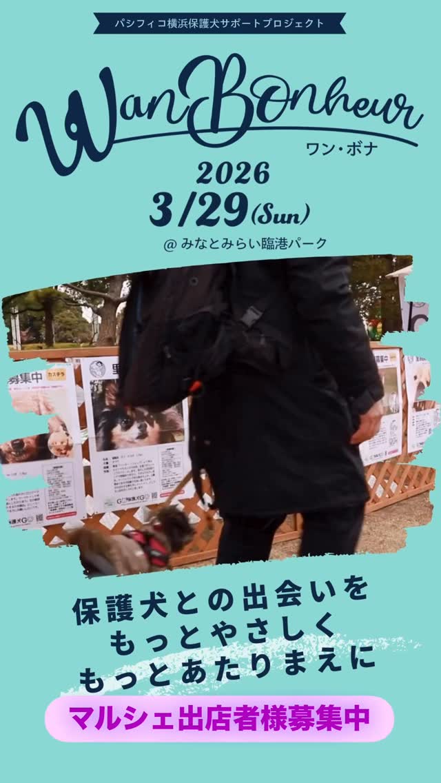 パシフィコ横浜保護犬サポートプロジェクト Wan Bonheur 2024