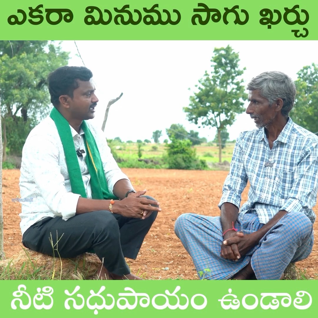 ఎకరా మినుము సాగు ఖర్చు నీటి సధుపాయం ఉండాలి #rythubadi #agriculture # ...