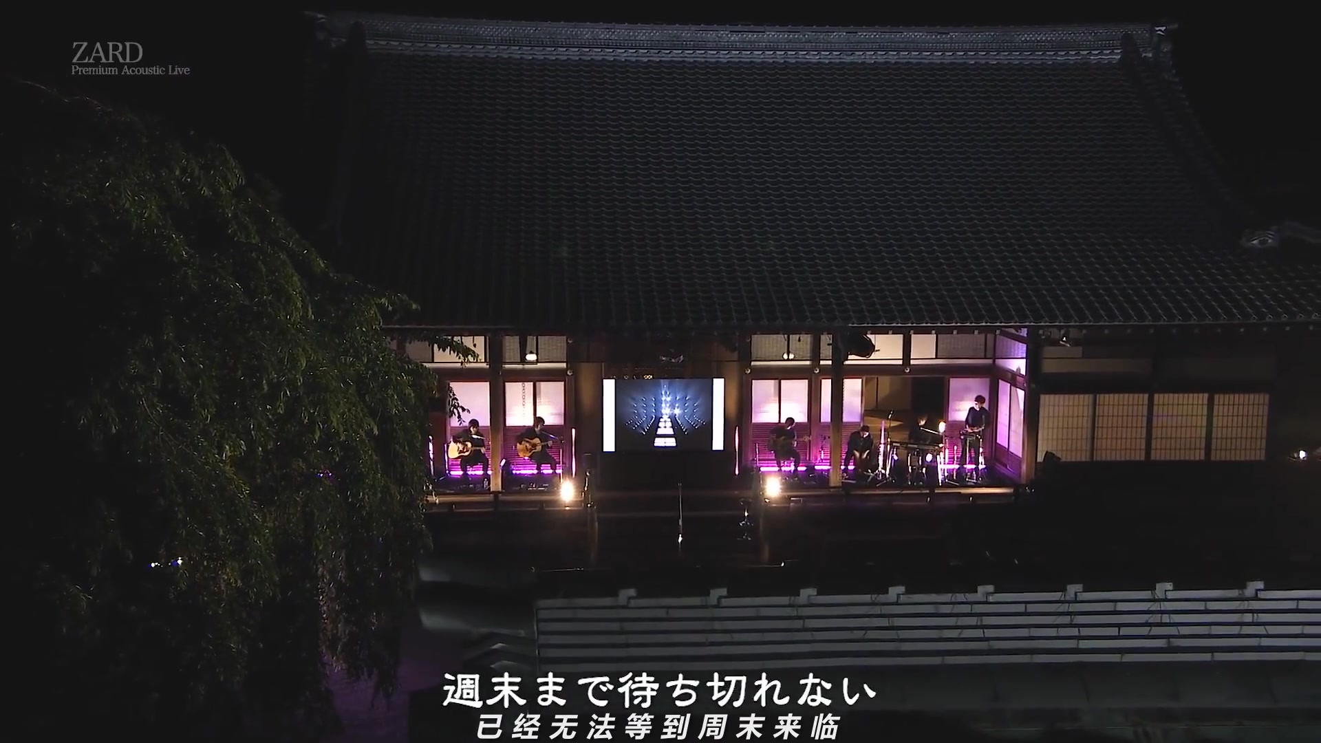 ZARD Premium Acoustic Live at 高台寺 》⛩️ By 小昌 | ZARD 坂井 