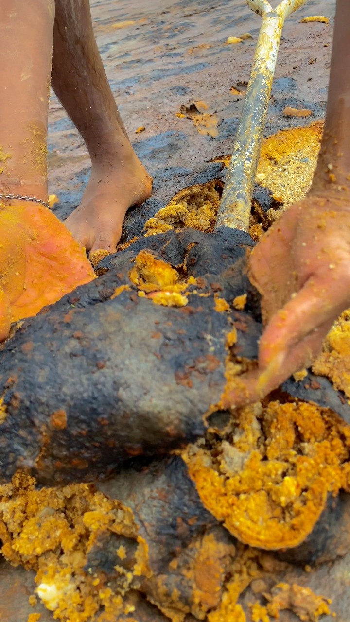 wow😱amazing, mossy gold rust, in a small puddle, containing hundreds to ...