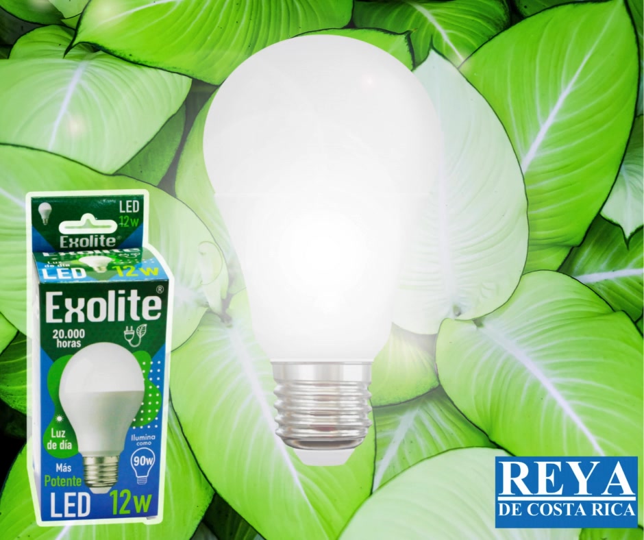 Bombillas LED Exolite®: la elección inteligente para hogares y negocios ...