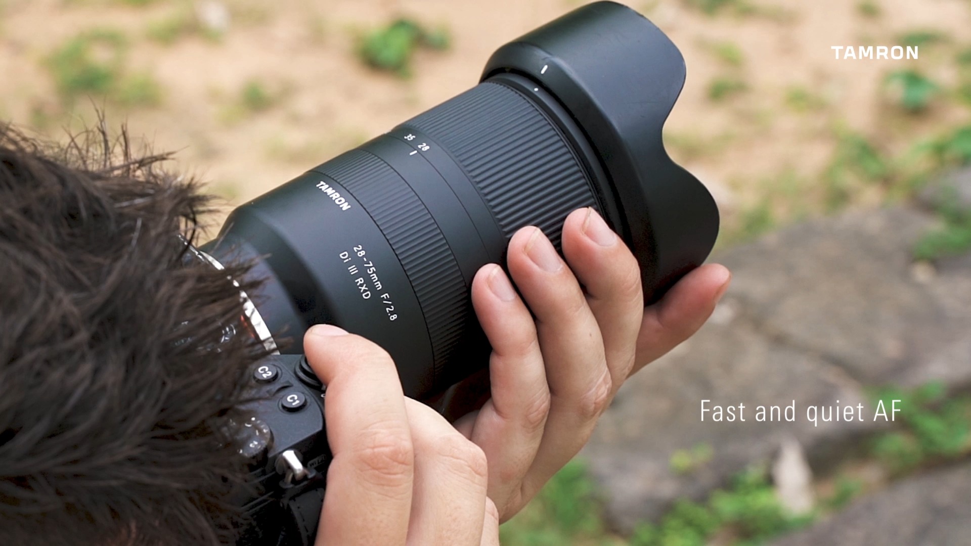 TAMRON 28-75mm F/2.8 Di III RXD A great addition to the Sony E 