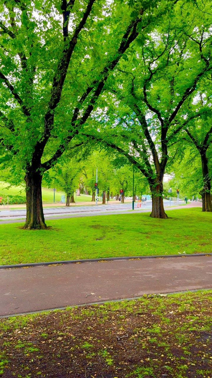 A sunny spring day in Melbourne CBD. A calm, peaceful walk . . # ...