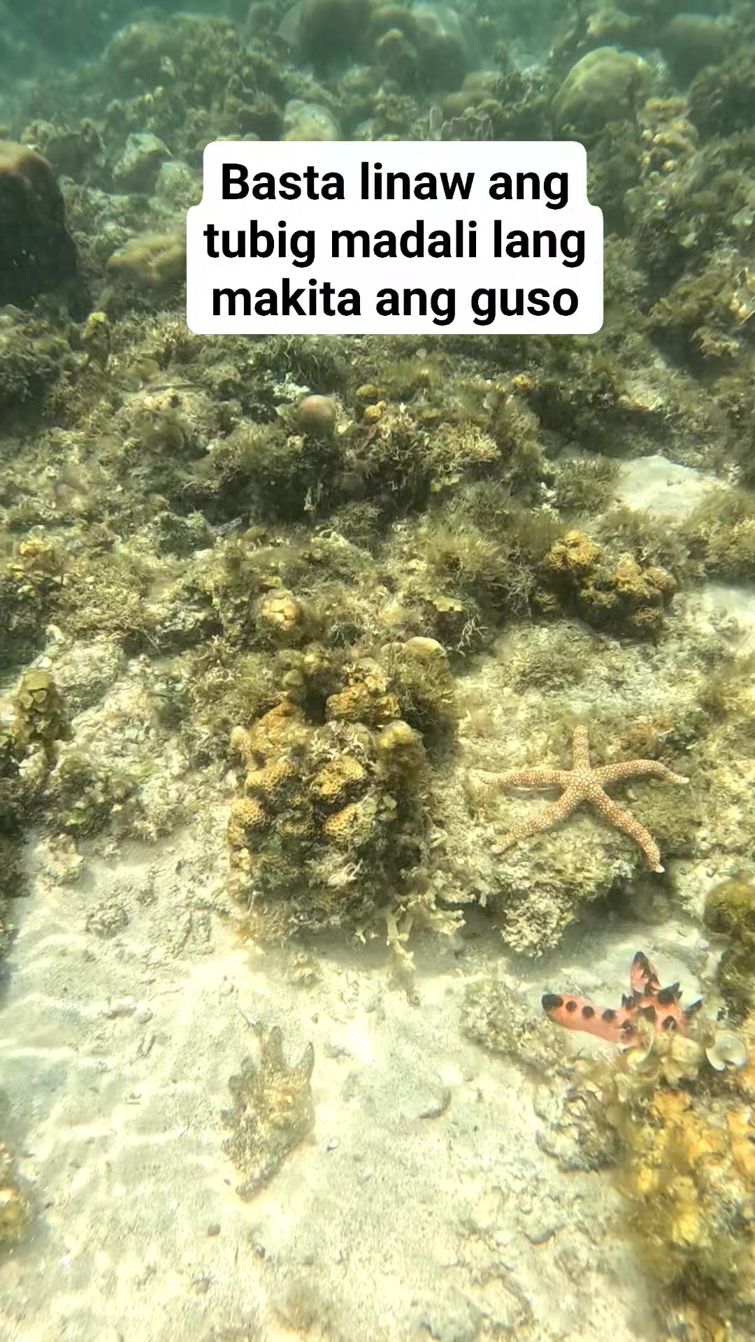Saang ug guso #bugatanqueenernalynrubin | Ernalyn Ybañez Rubin | Facebook