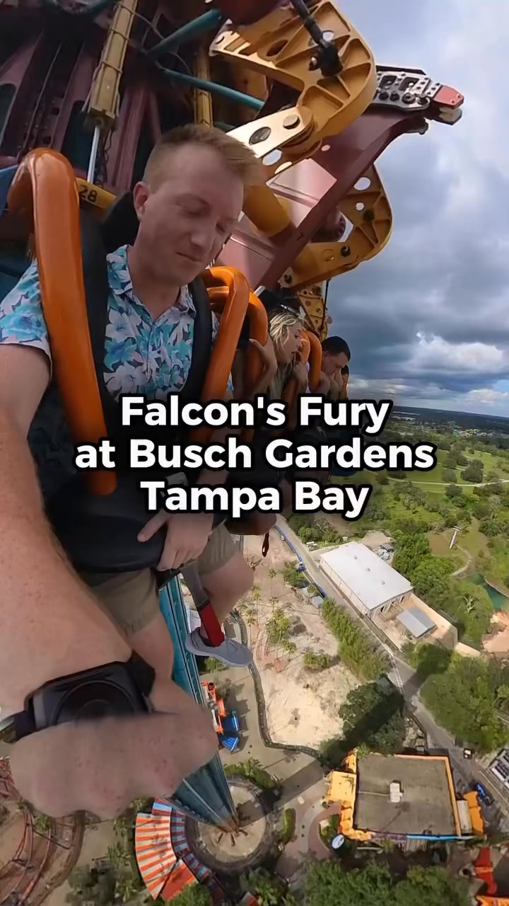 EYNTK Travel - Falcon’s Fury is an INTENSE drop ride at... | Facebook