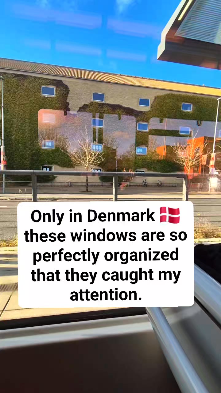 Only in Denmark 🇩🇰 these windows are so perfectly organized that they ...