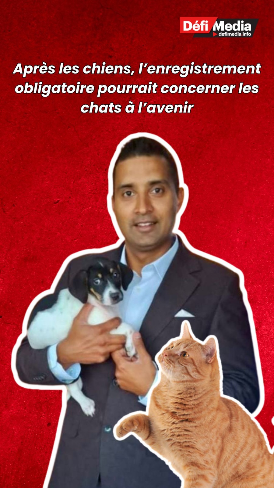Après les chiens, l’enregistrement obligatoire pourrait concerner les ...