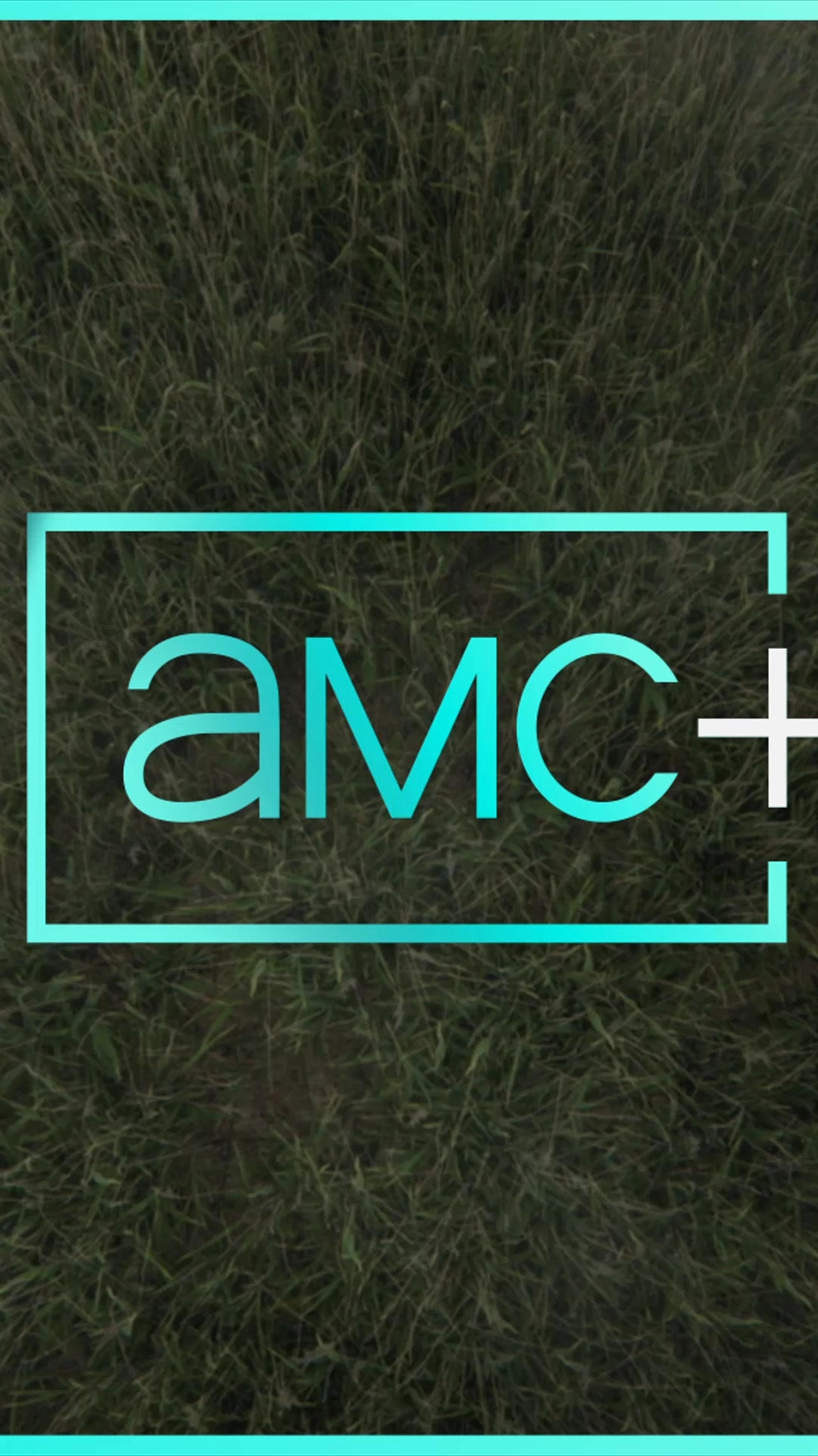 AMC+ is the exclusive home for new seasons in The Walking Dead Universe ...