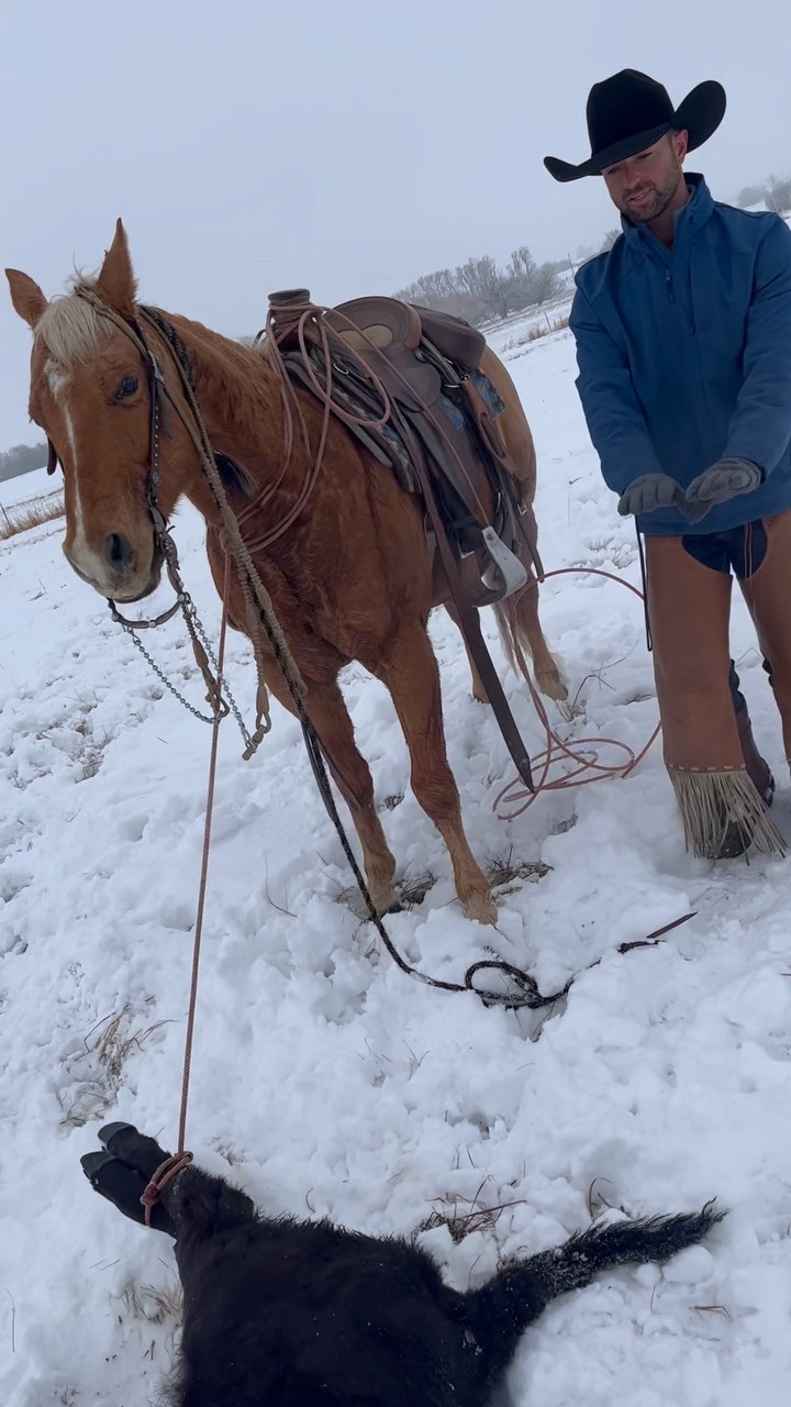 Flying Box Ranch | Ellensburg WA