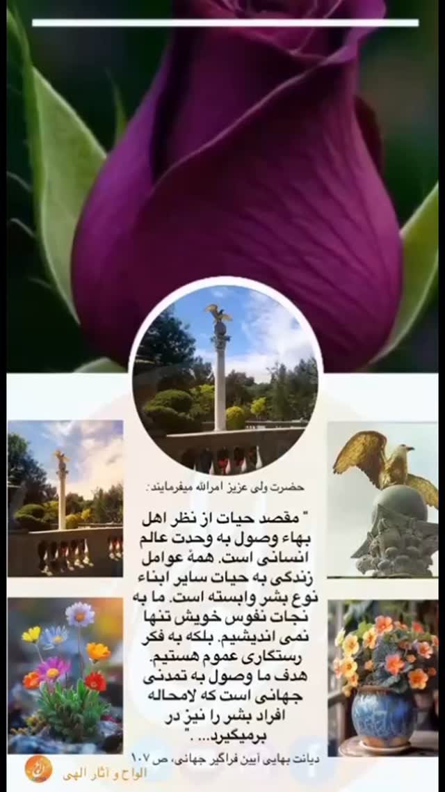 AlvahAsar Elahi on Reels | Facebook