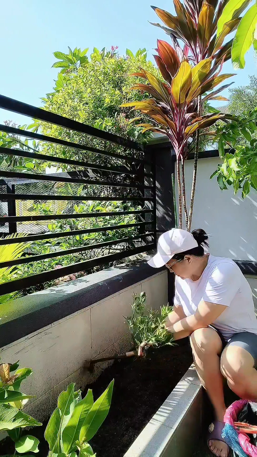 Happy Garden by Serena (@happygarden229) • Facebook