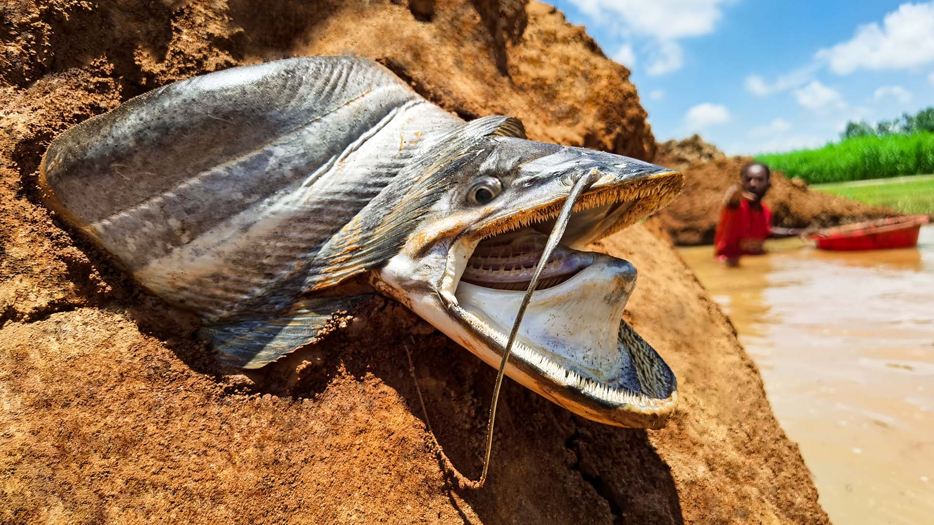 Unbelievable Wow really amazing big stuck fish catching form river side ...