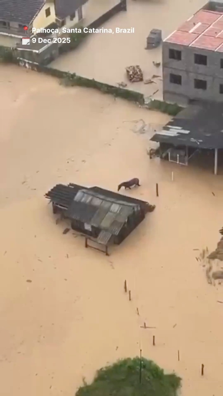 Extratropical Cyclone Triggers Major Flash Floods in Palhoça, Brazil A ...