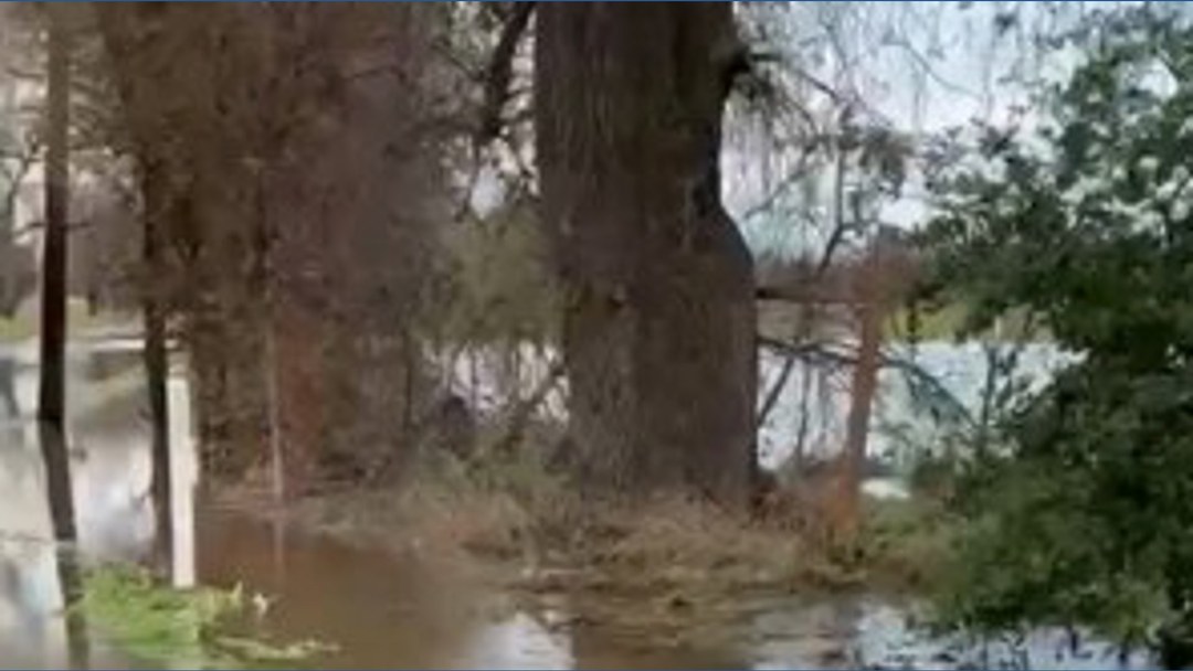 Neighbors in Rio Linda are concerned after seeing the impact of