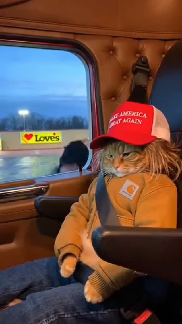 Jazzy Cat King of the Road on Reels | Facebook