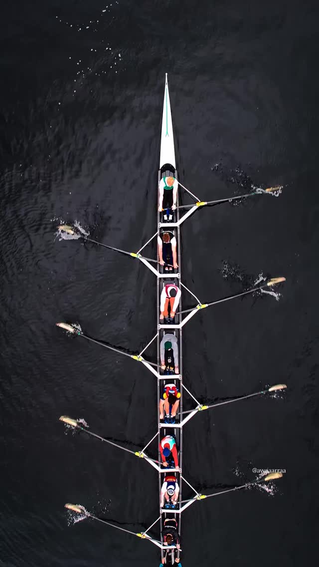 @awaaarraa Precision. Power. Patience. From every stroke to every ...