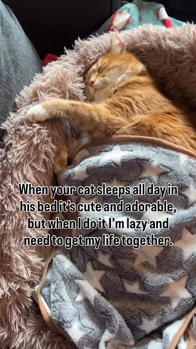 So true. 🫢🤭🤣 | Rascal Cat | Facebook