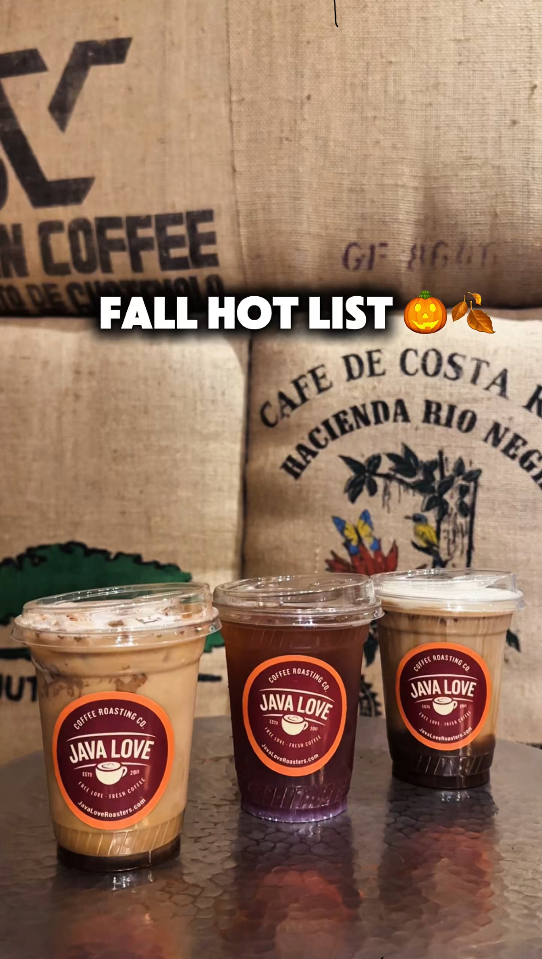 Three drinks. One Fall Hot List. Bellevue Ave 🍂 - Macy’s Happy Camper ...