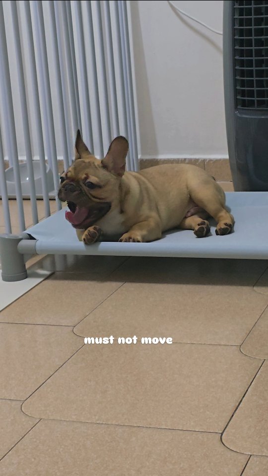 Staying still feels optional. The rules feel negotiable. Why is ...