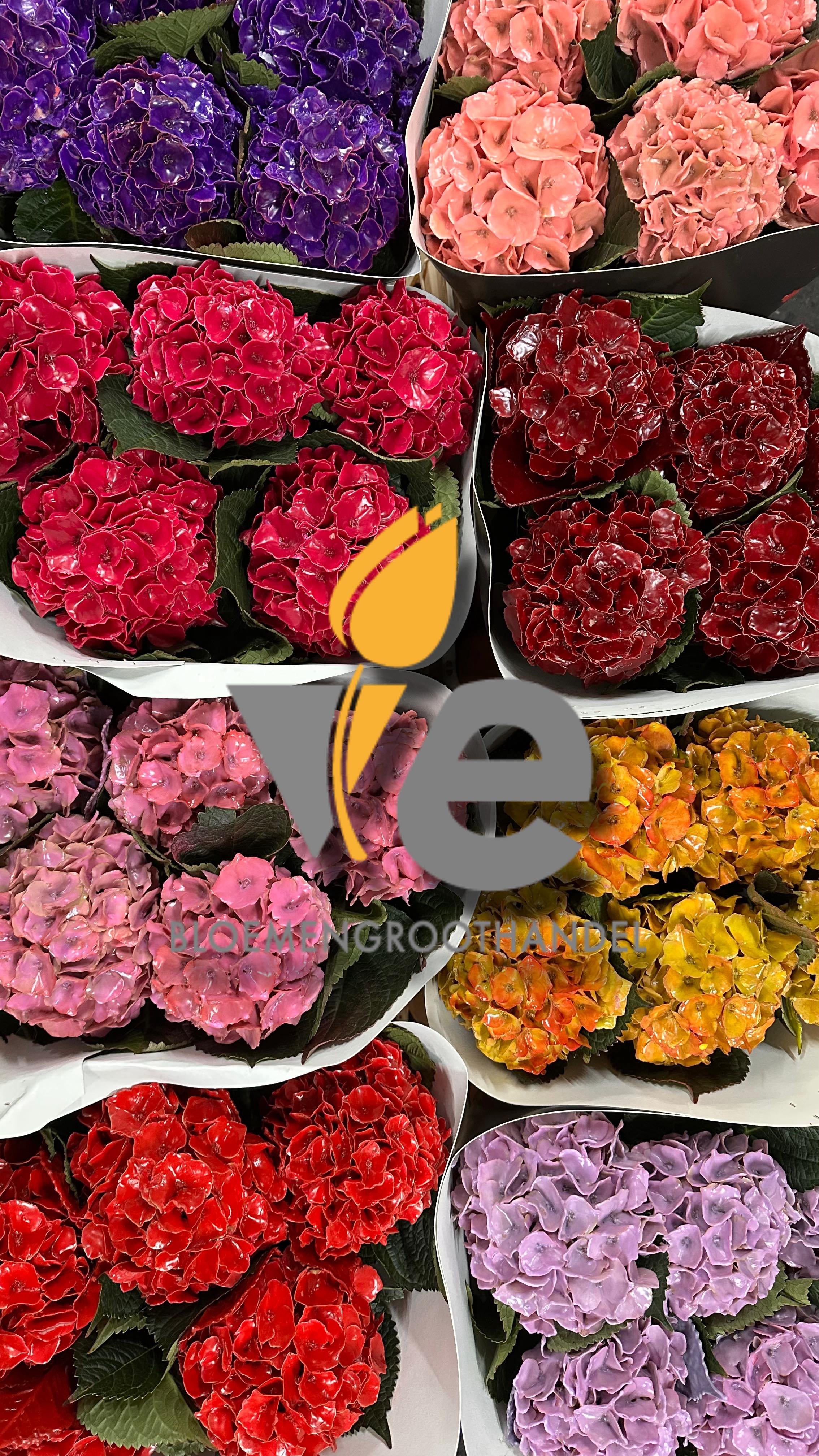 I’m in love 😍 @waxed_roses_sensation #wax #love #color #flower # ...