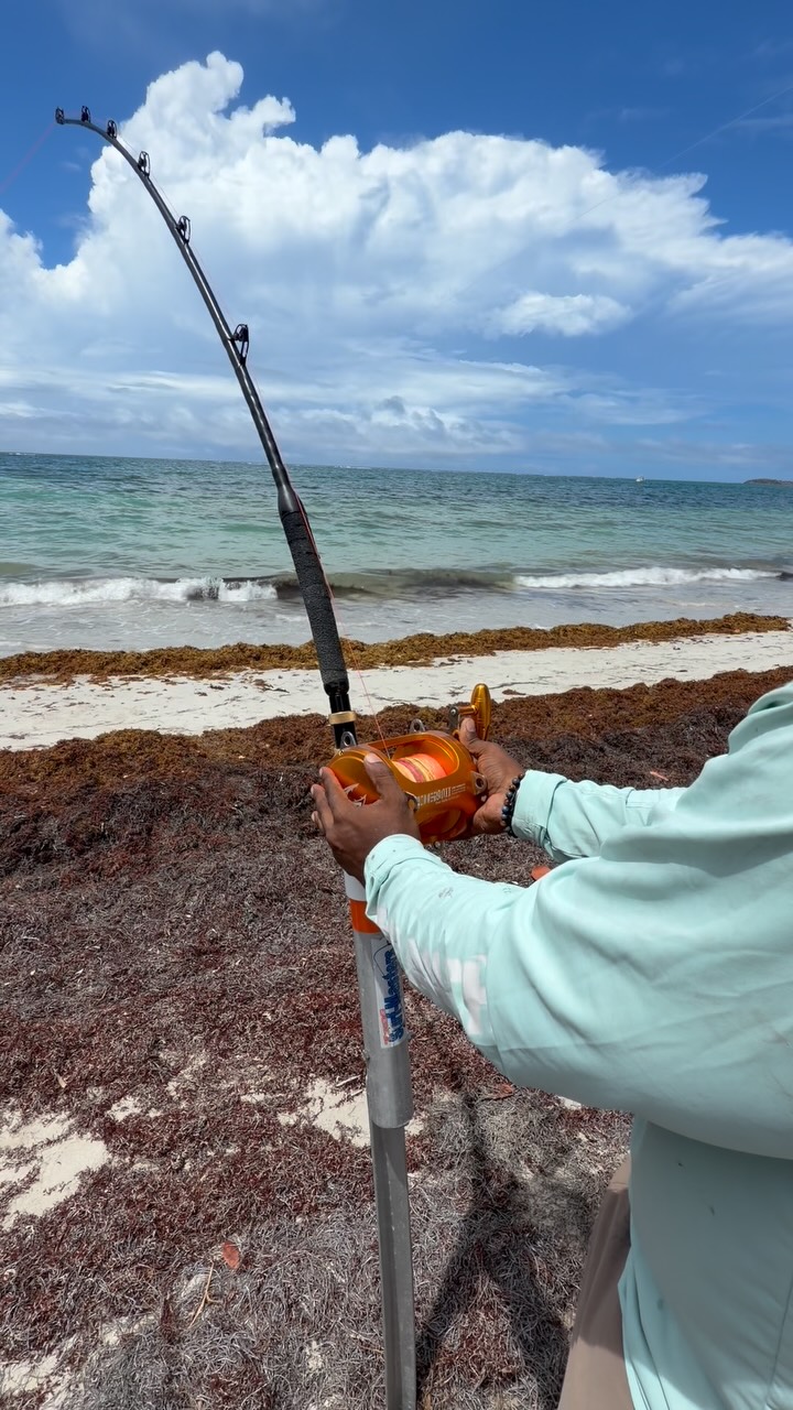 are yoyo automatic fishing reels legal to use in texas 4 Mechanical Fisher's Yo Yo -Package of 4 Reels- Fish Trap -(Flat Trigger Model) by Mechanical Fisher YoYo Fishing Reel : Spinning Fishing Reels : Sports & Outdoors Offshore Angler Cuban Yo Handle Length:4 feet switch back lite hooks Rigged Circle Hook Spanish