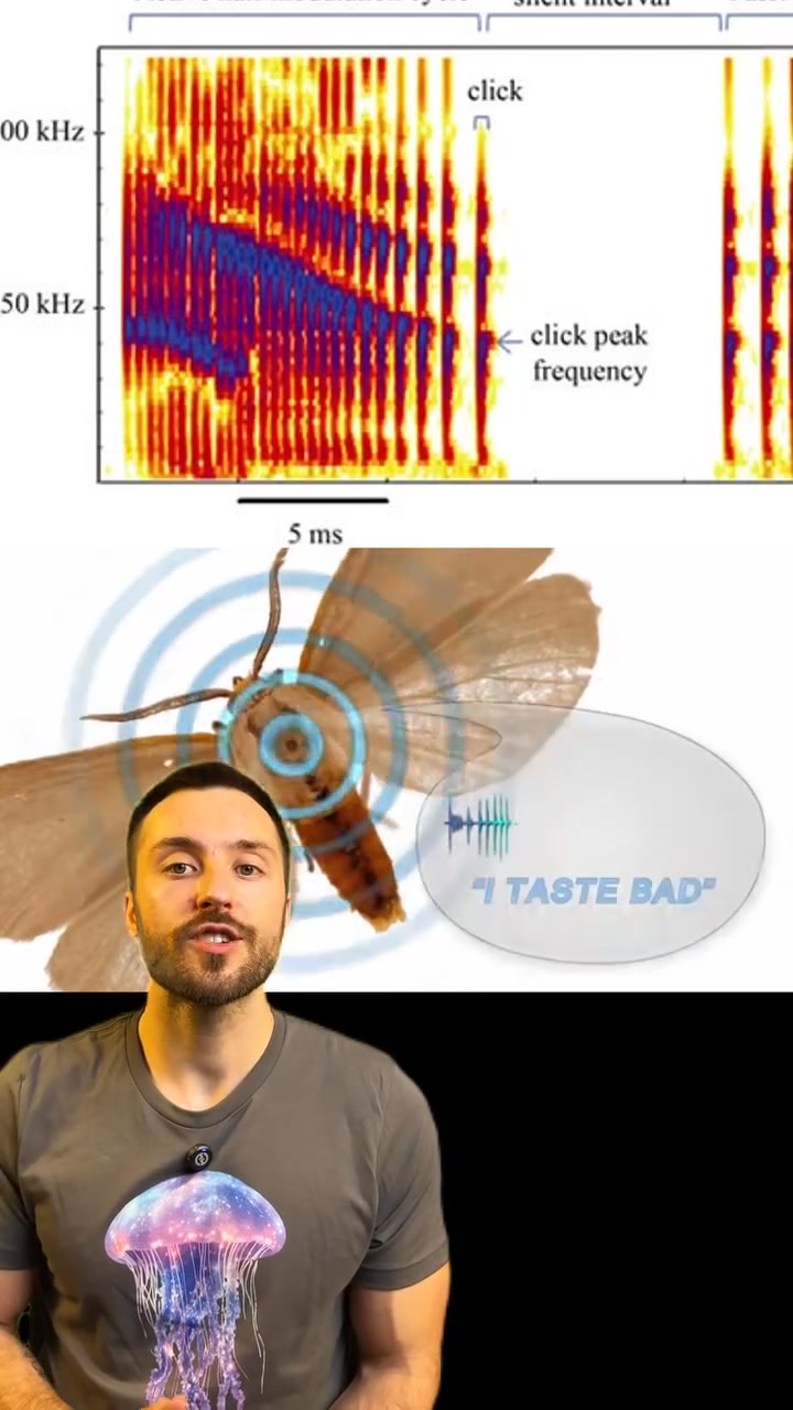 Did you know that moths can jam bat signals? They are natures stealth ...