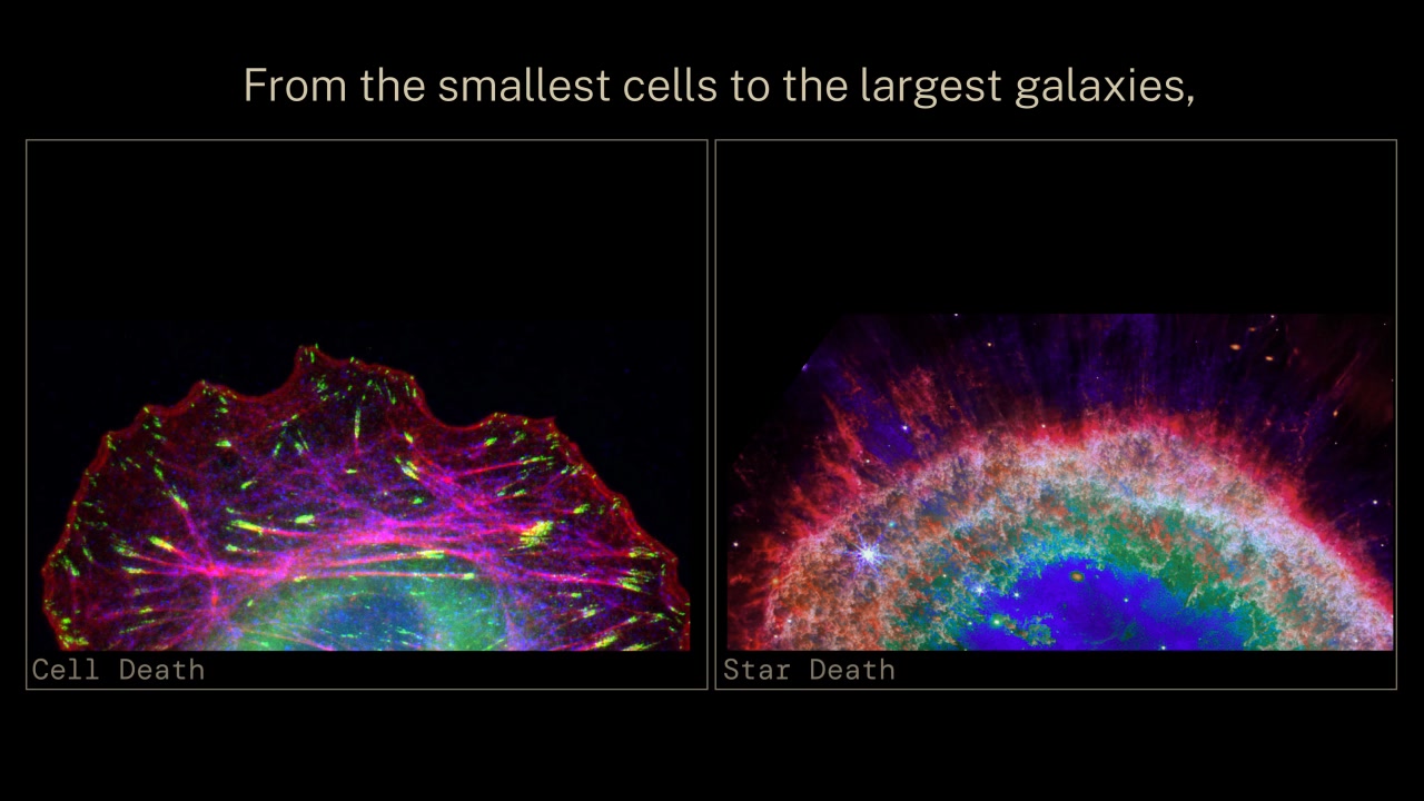 Whether you're exploring space through a telescope or examining life ...