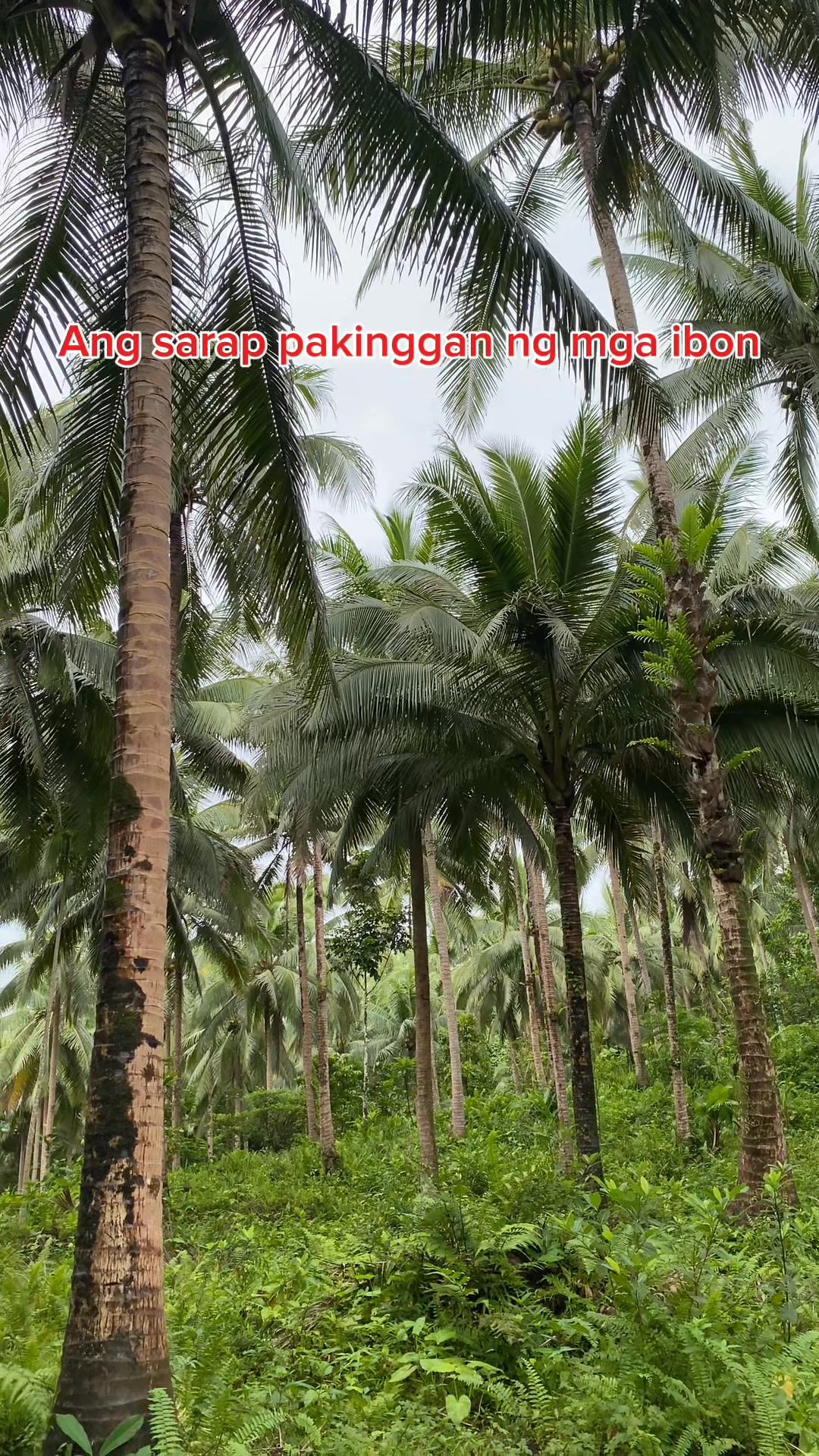 Ang sarap sa taenga😍 #buhayprobinsya | Pobreng Maestra | Facebook