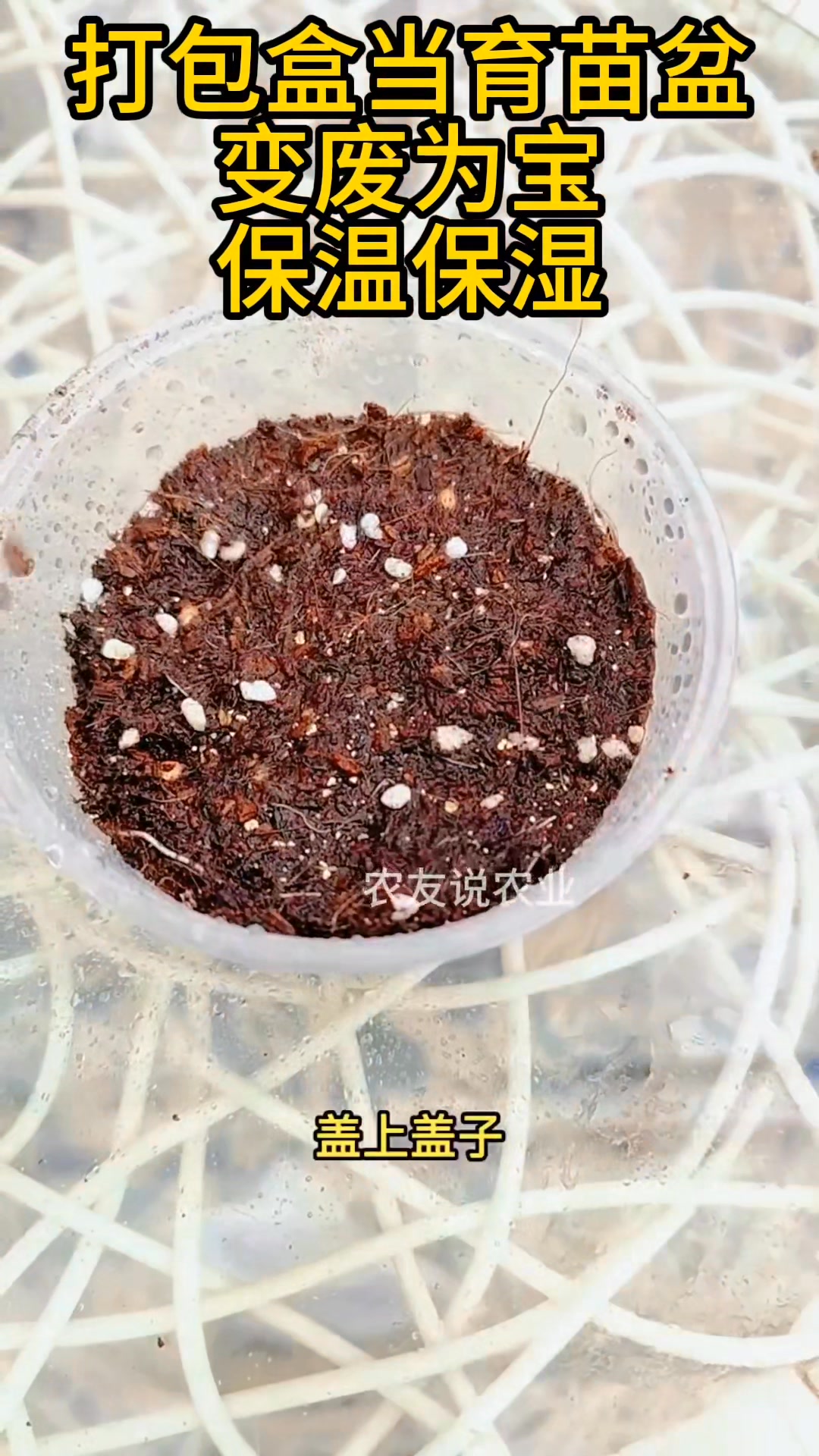 家家都有的育苗神器！ #育苗 #在家种菜 #种植小技巧 #绿植妙招 #三农 #hobby #fblifestyle | 理想小院儿 ...