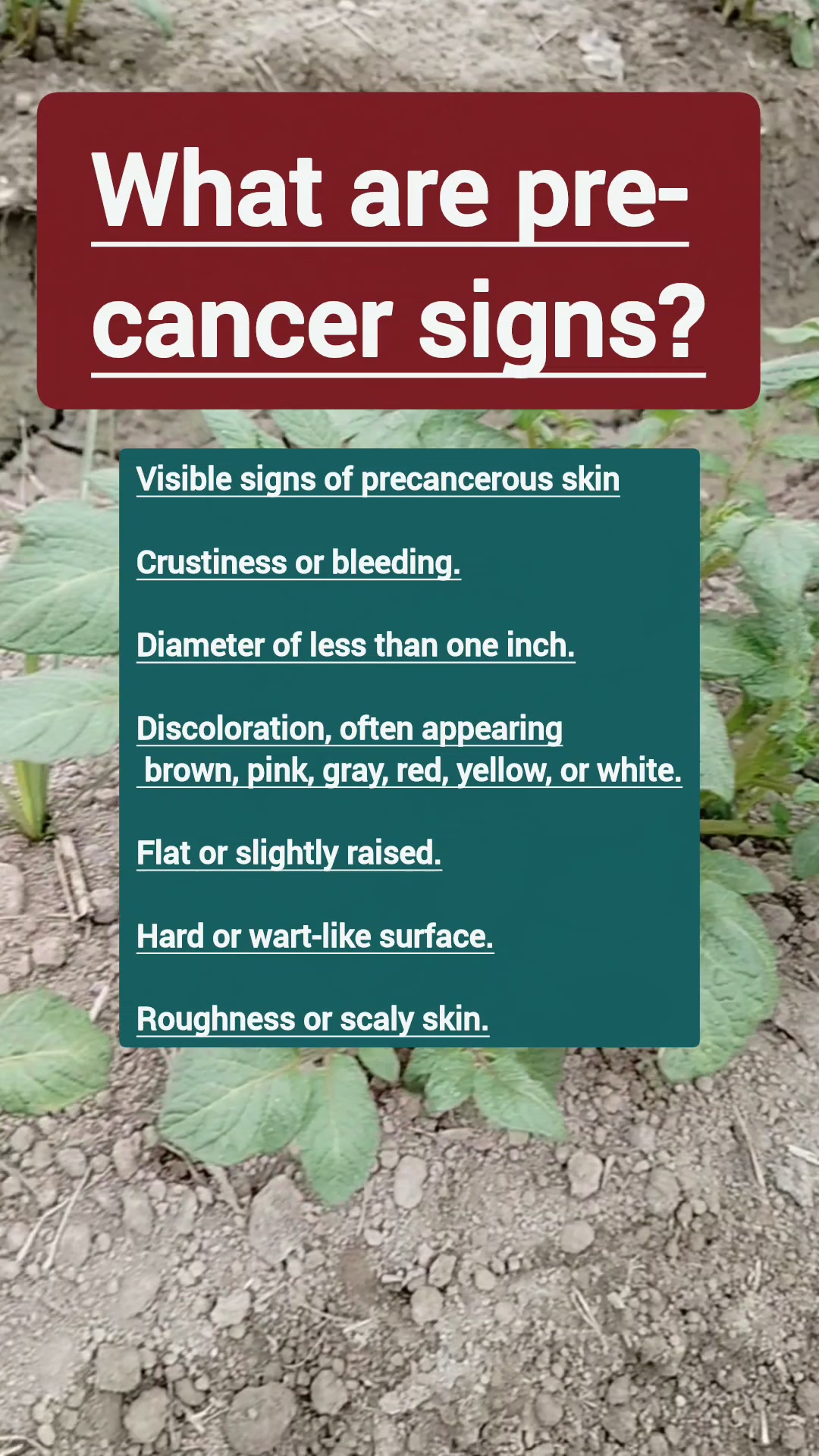 #Cancer #health #healthylifestyle | Health Tricks & Tips English | Facebook