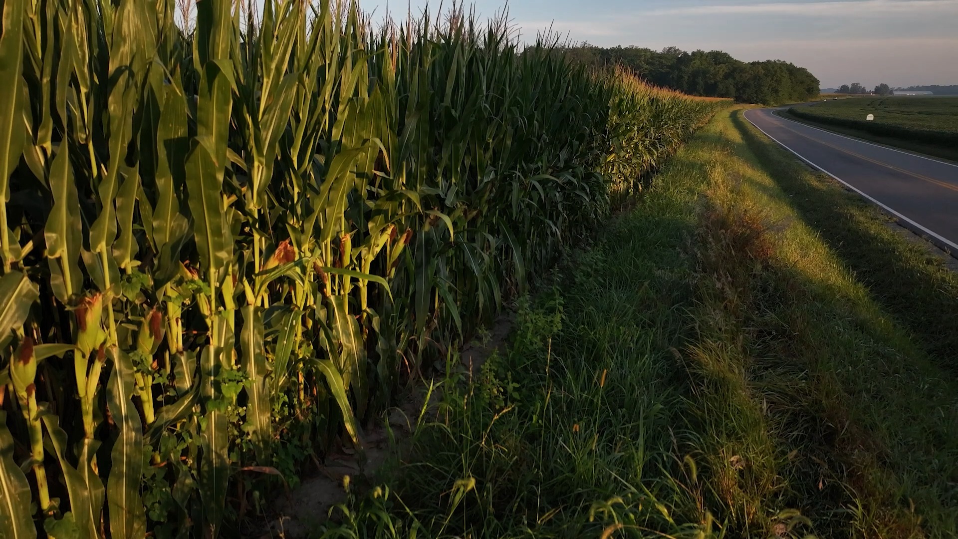 National - Applications are now open for the 2026 NCGA Research ...