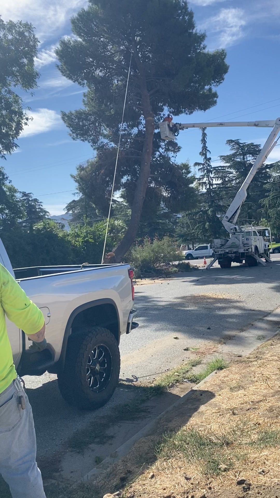 Mike's Tree Service | Banning CA