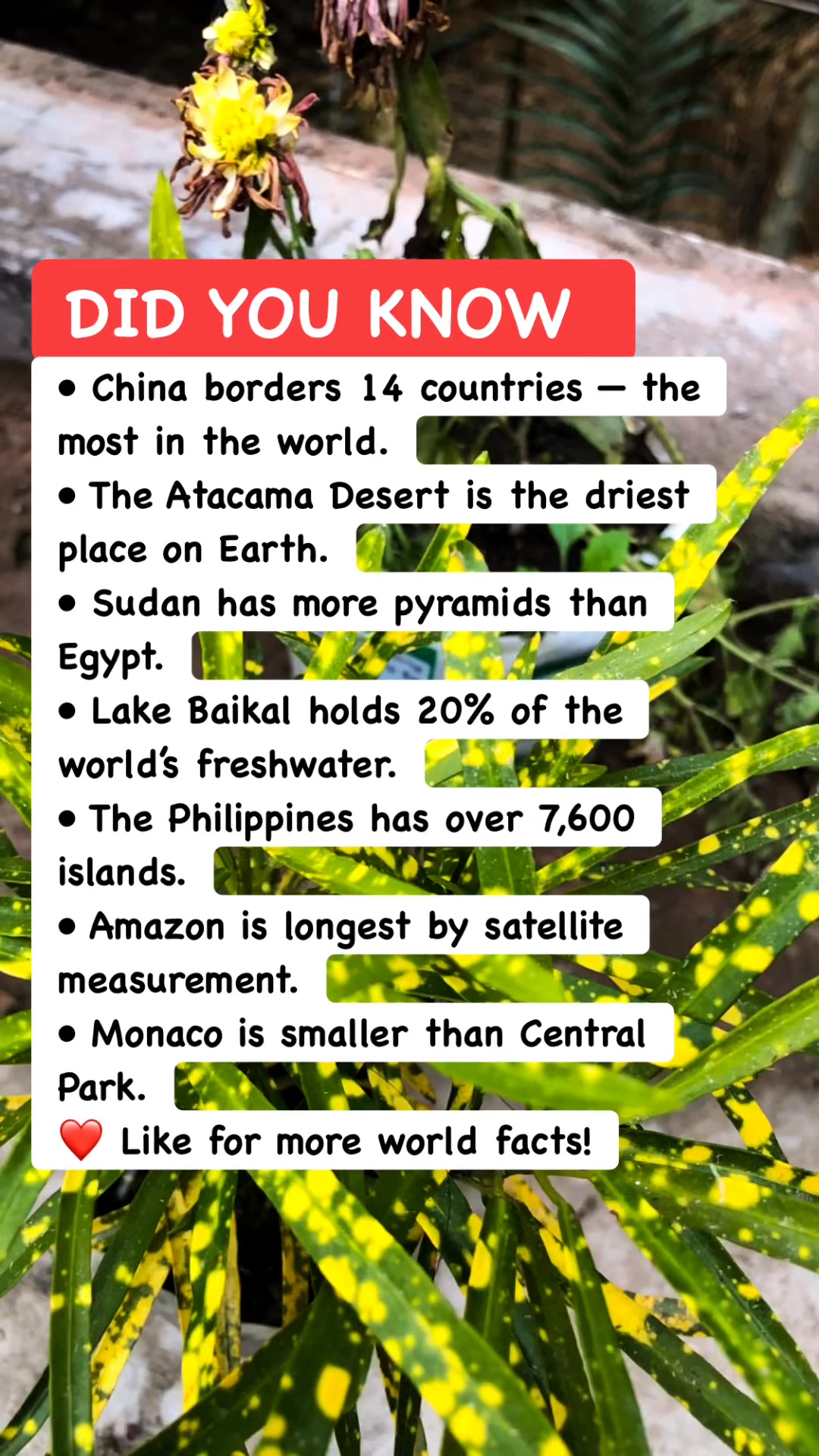 Mind-Blowing Facts About Our World! #WorldFacts #EarthKnowledge # ...