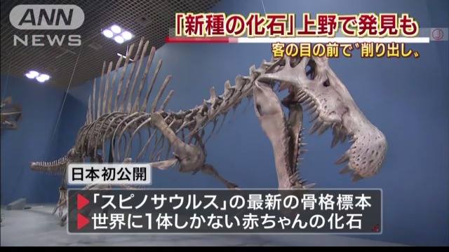 恐竜の化石 m*o様