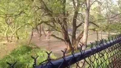Old Mill Dam - Clara O'Brien shared this video of flooding on ...