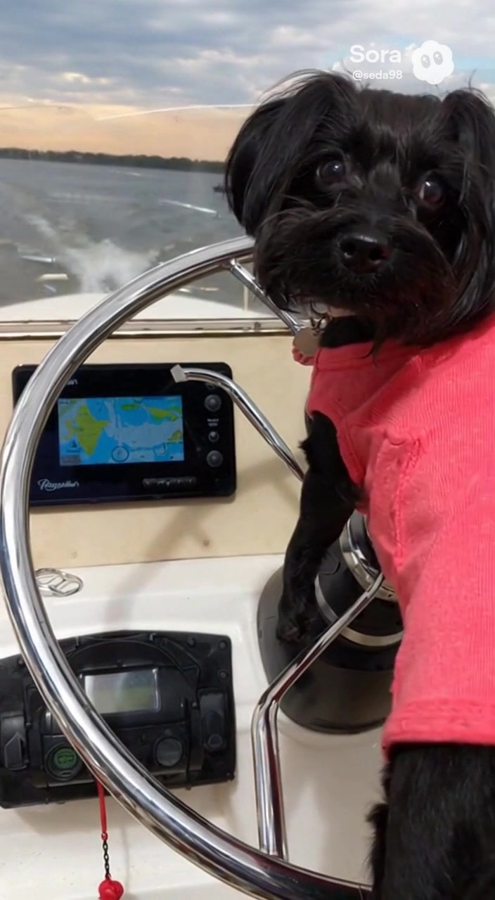 My baby’s driving the boat | Marilyn Morcilio | Facebook