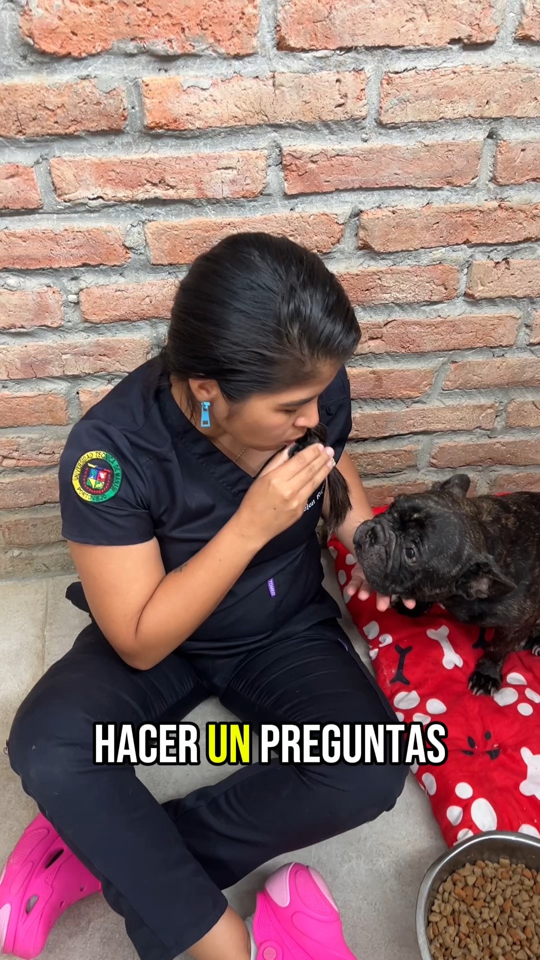 Ping pong con el Sr Bulldog Francés | Helen Rescata y Sus Amigos | Facebook