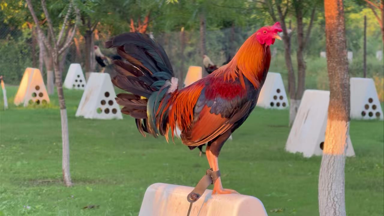 Deberán acomodarse pronto, les estaremos compartiendo todo el proceso ...