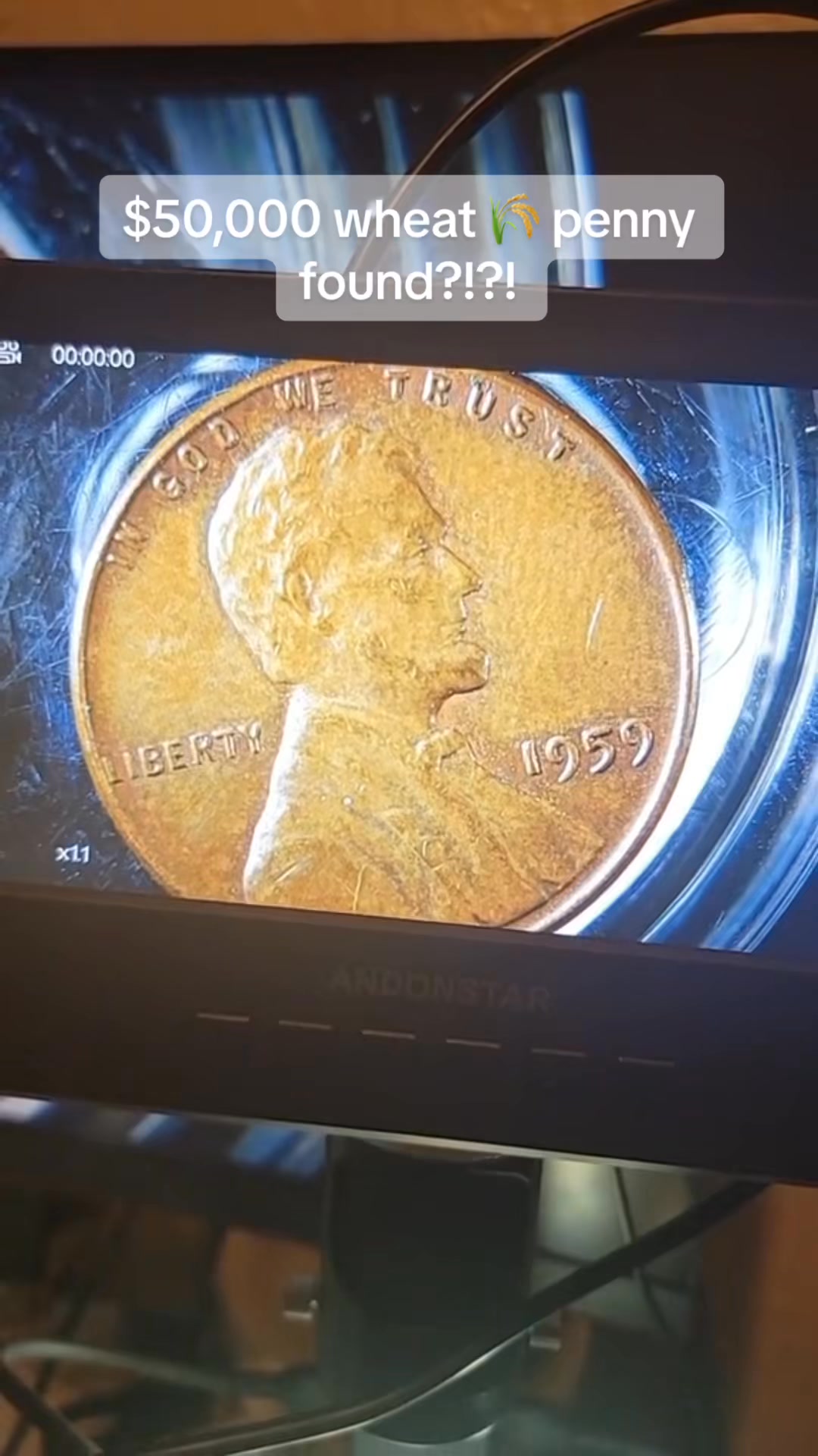1959 wheat 🌾 penny found？!？!？ Found by Blaster #erro #penny #wheatpenny ...