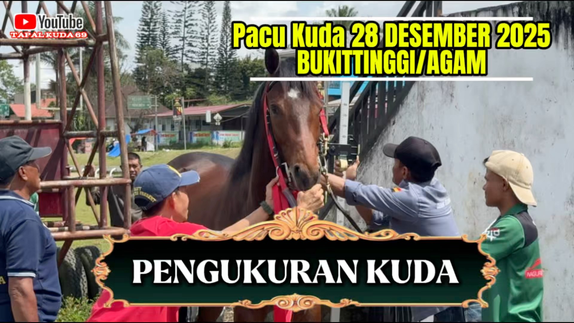 Pengukuran Kuda Pacu Event Pacuan OPEN RACE BUKITTINGGI/AGAM | Zulkifli