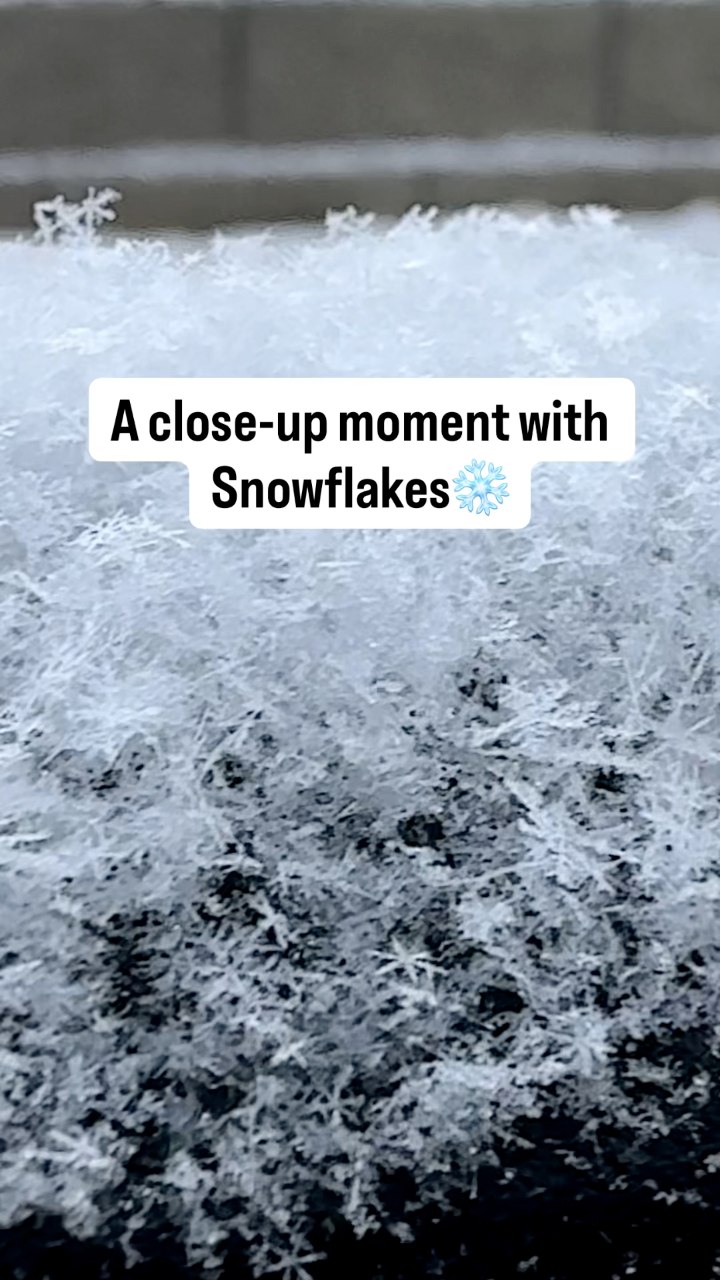 A close‑up moment with Snowflakes ️ #snowflakes #calgary #canada #snow ...