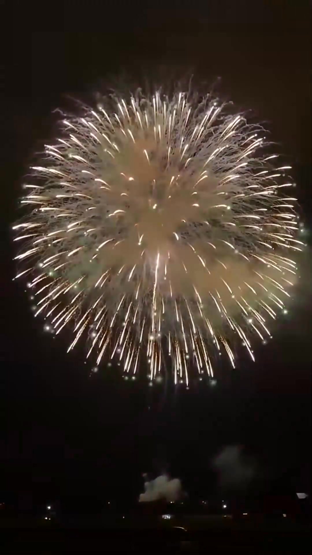 10 inch special design display shell #fireworks #fireworksdisplay # ...