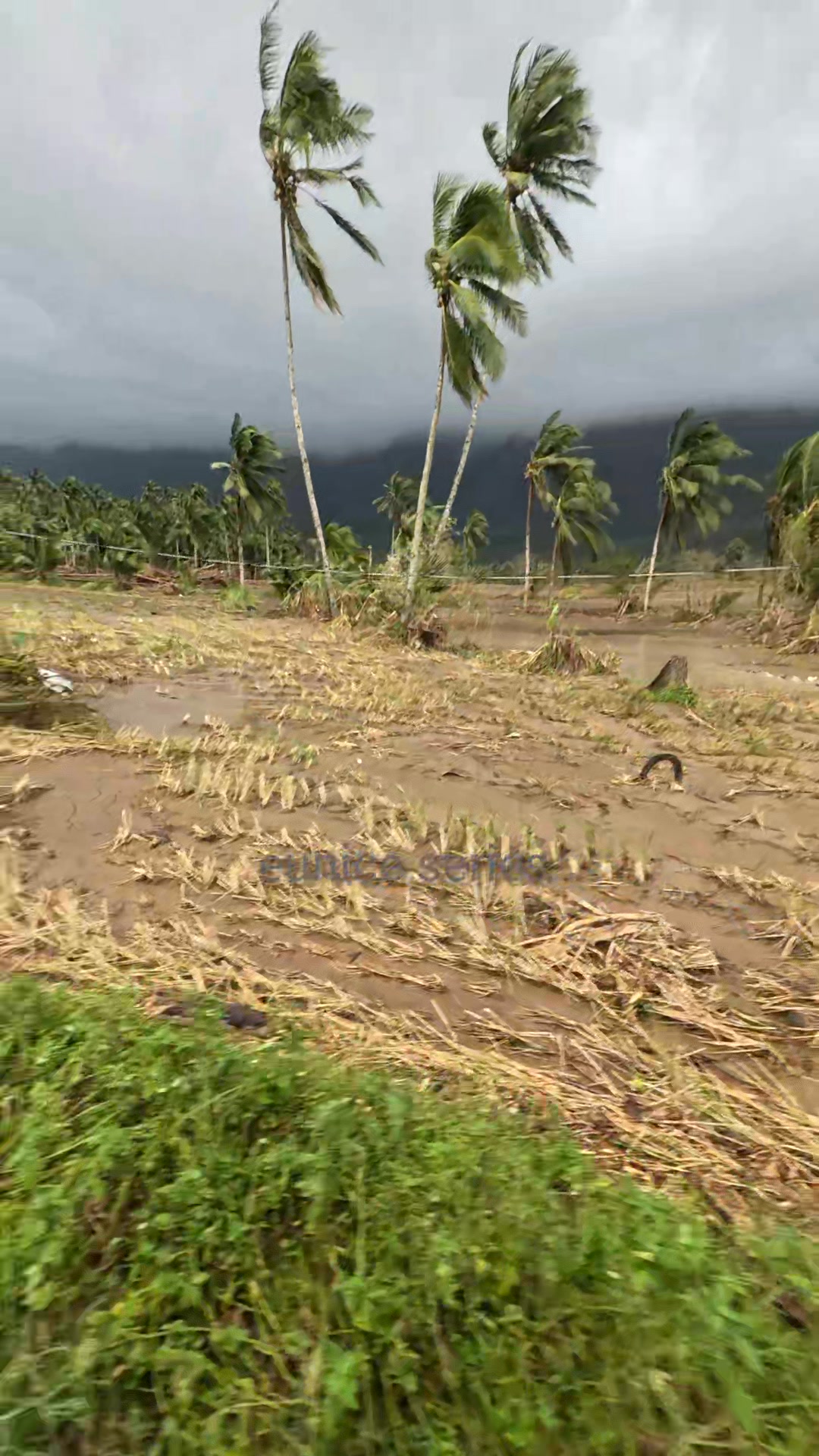 Hing saka pod ang tubig diring dapita,,Barangay Carnaga, Saint Bernard ...