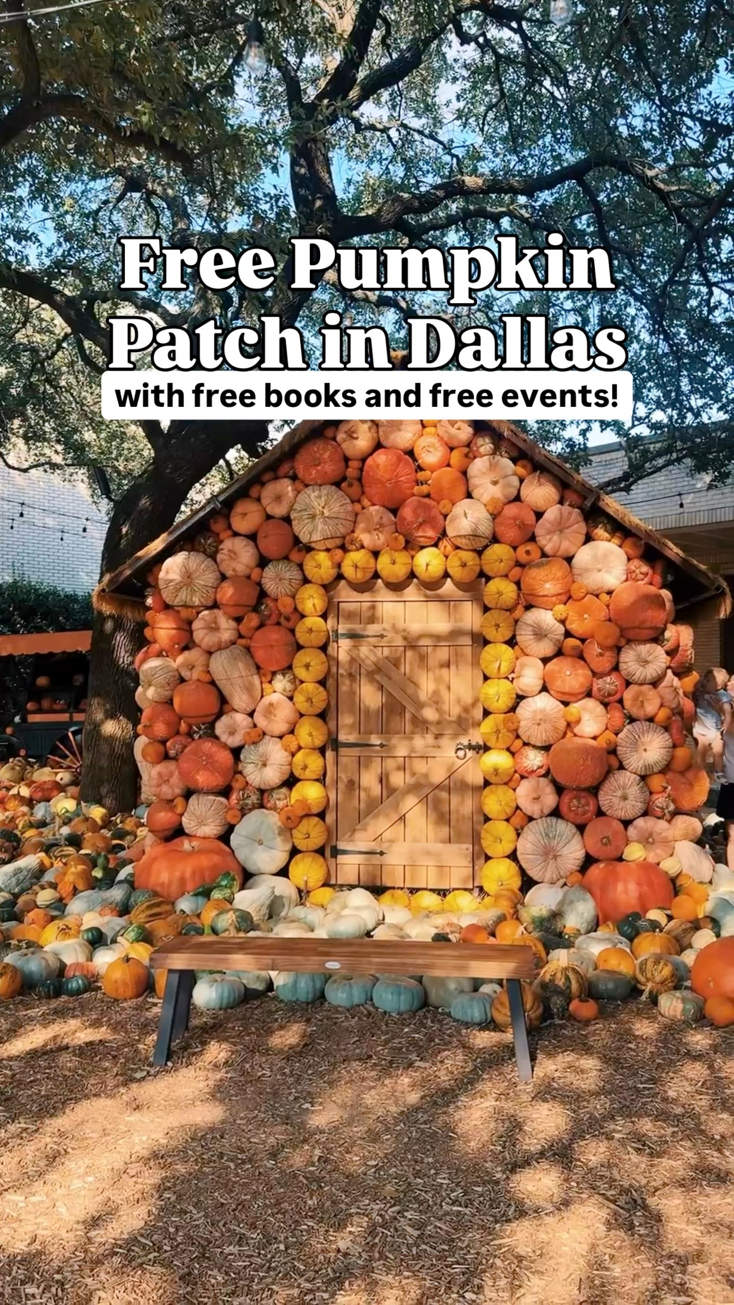 🎃 FREE PUMPKIN PATCH WITH FREE BOOKS + FREE EVENTS IN DALLAS AT ...