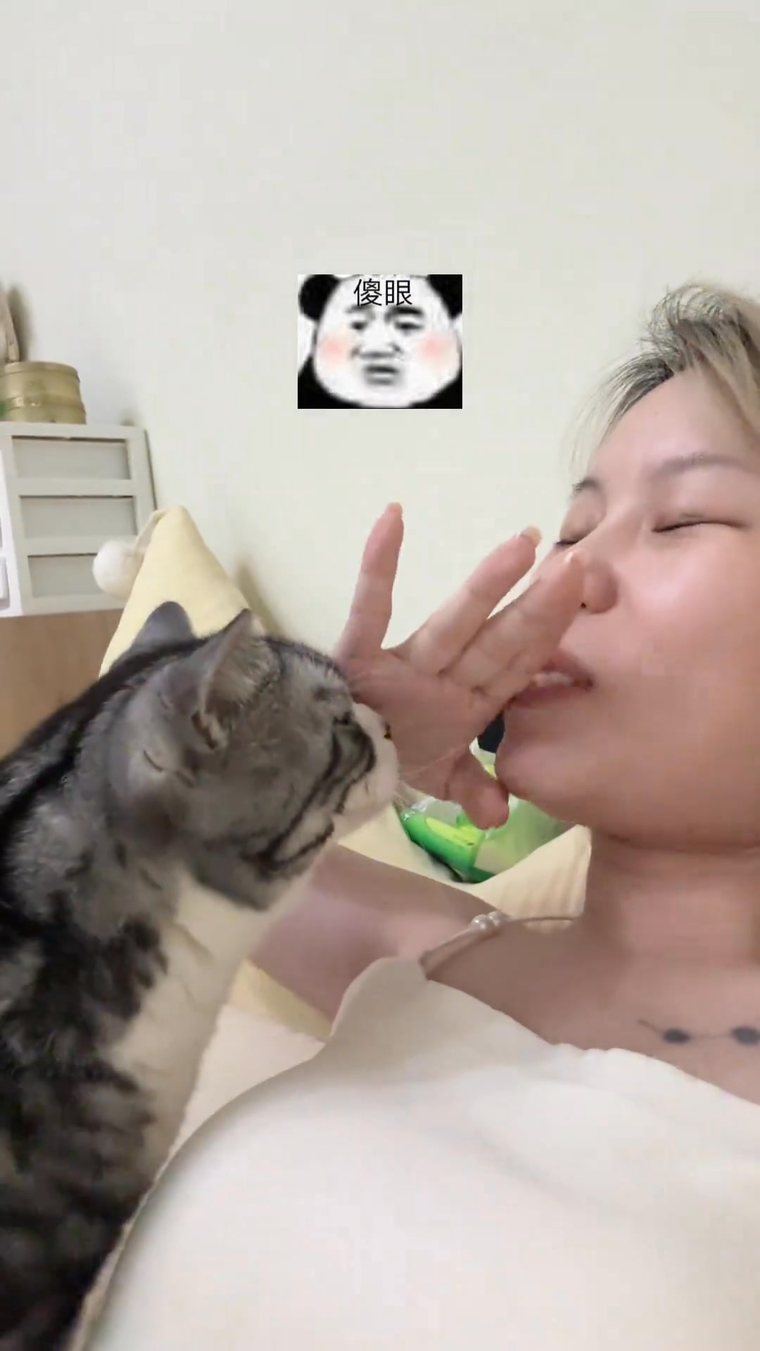 這貓怎么比AI還莫名其妙啊！ | 玲玲美食日记 | Facebook