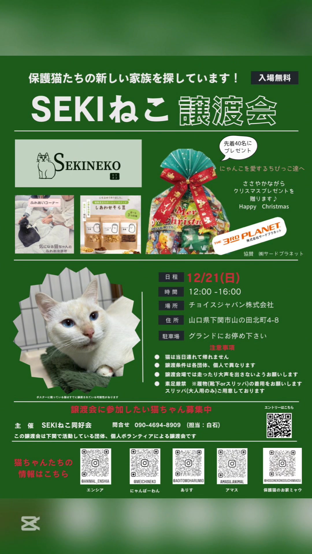 Naoko Shiraishi (@naoko.shiraishi.902) • Facebook