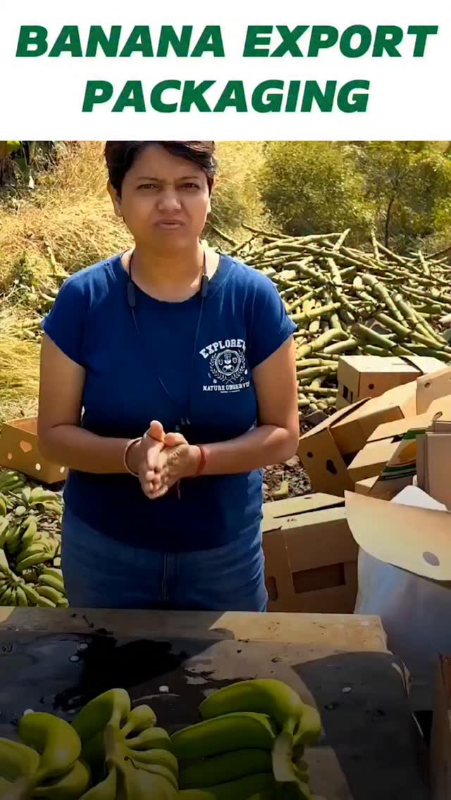 How Banana Export Packaging Done? Bananas are packed as whole hands ...