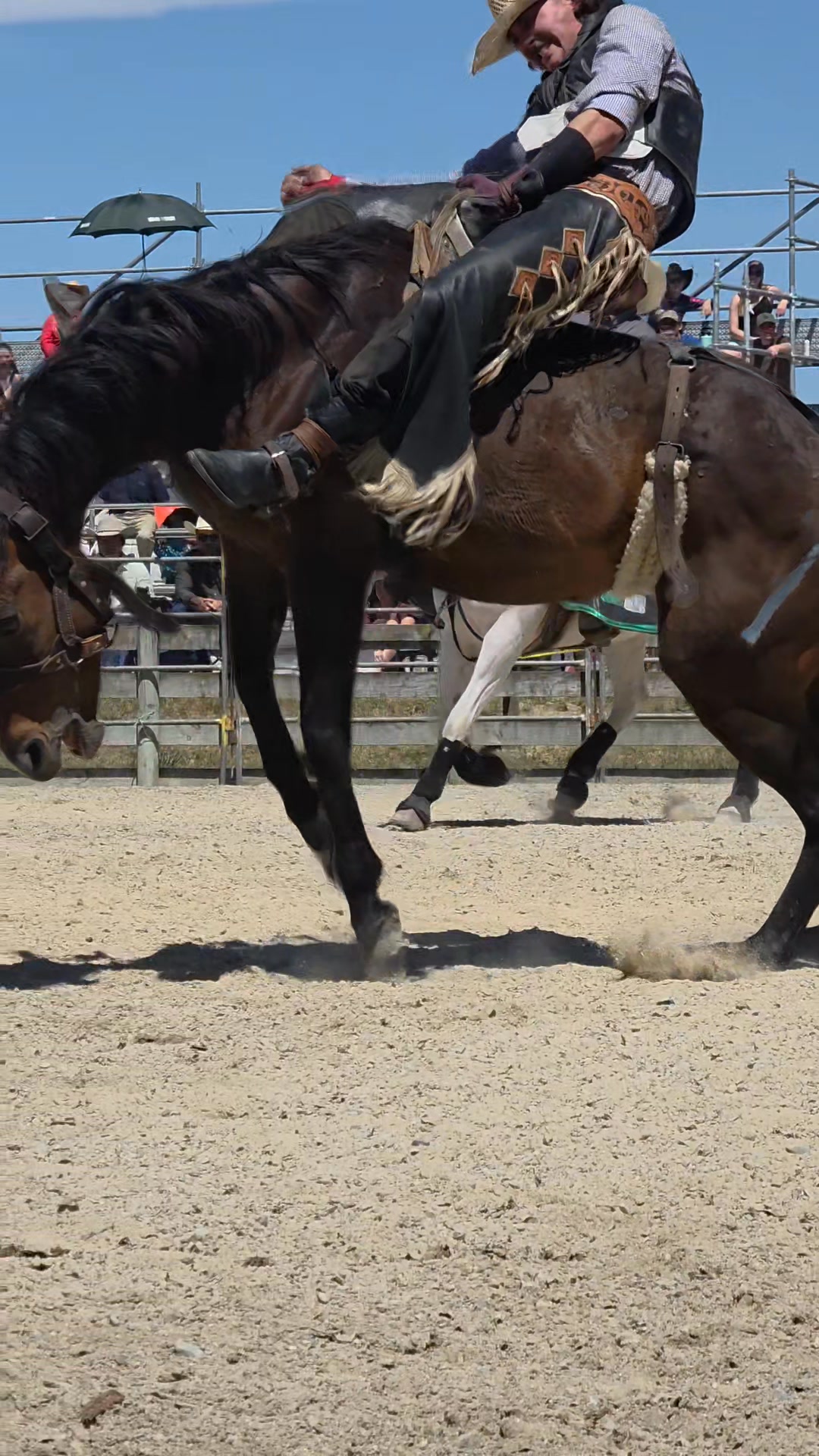 𝐒𝐀𝐌𝐄 𝐏𝐋𝐀𝐂𝐄, 𝐒𝐀𝐌𝐄 𝐓𝐈𝐌𝐄, 𝐁𝐔𝐓 𝐁𝐈𝐆𝐆𝐄𝐑 𝐀𝐍𝐃 𝐁𝐄𝐓𝐓𝐄𝐑!🤠 The team can’t wait to ...